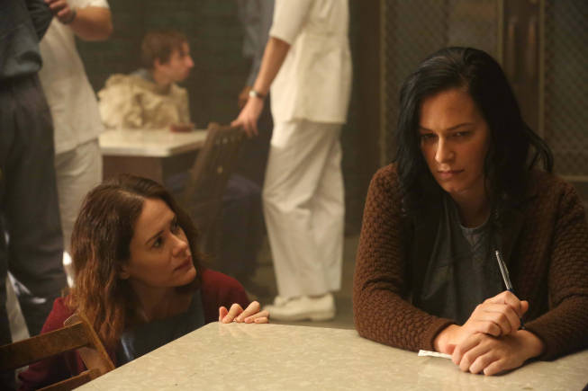 Franka Potente and Sarah Paulson star in American Horror Story