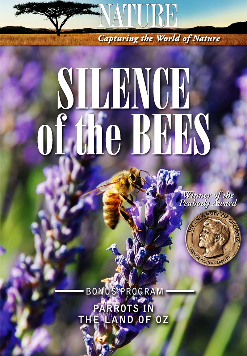 Nature Silence of the Bees TV Documentary